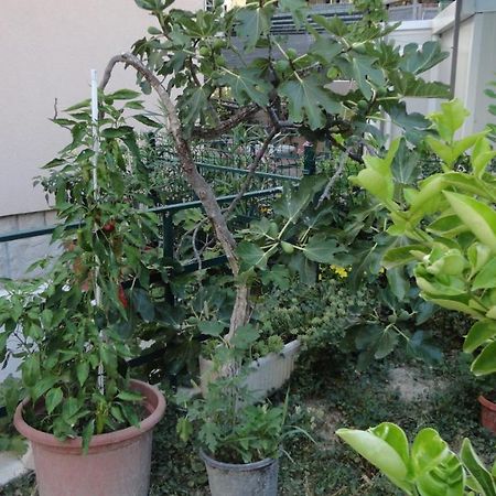 Apartman Paro Split Luaran gambar
