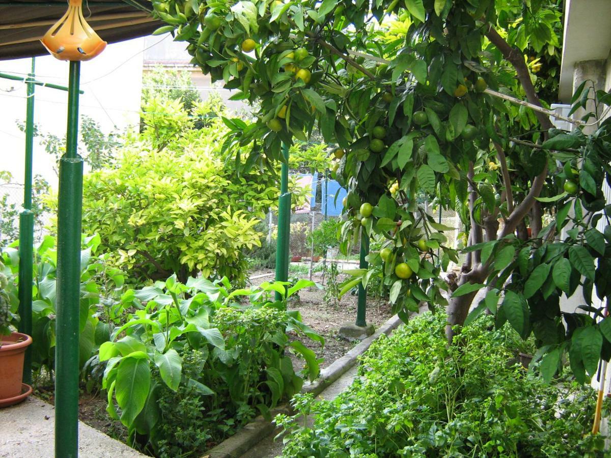 Apartman Paro Split Luaran gambar